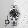 Roleex Mens Oyster Day Date Black Dial Heavy Quality