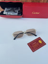Cartie 2516 gold peach brown
